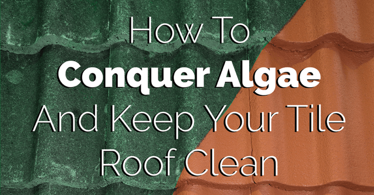 how-to-conquer-algae-and-keep-your-tile-roof-clean